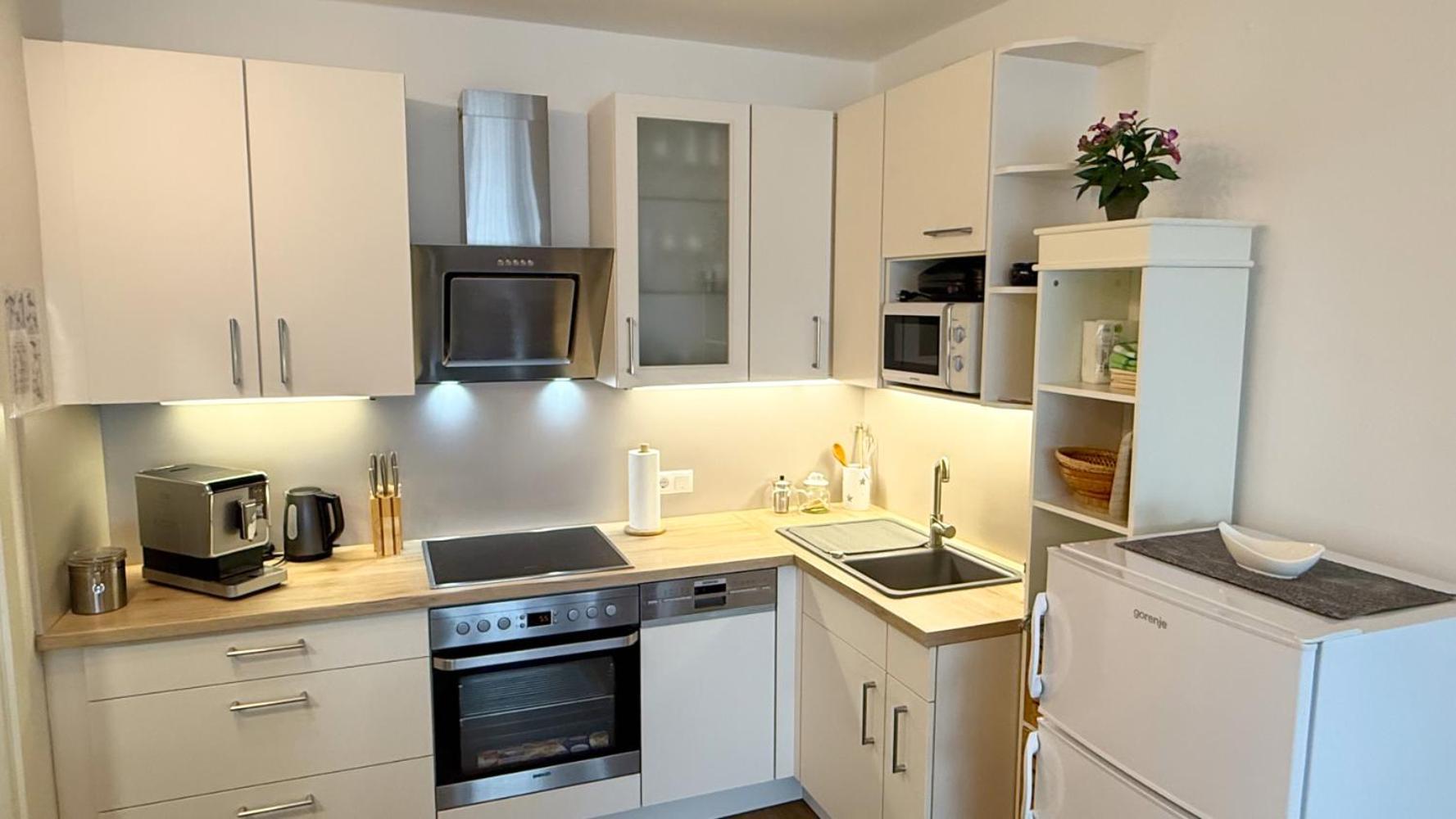 Komfortables Appartement/Garconniere In Graz Fuer Urlaub Und Geschaeftsreisen Exterior foto