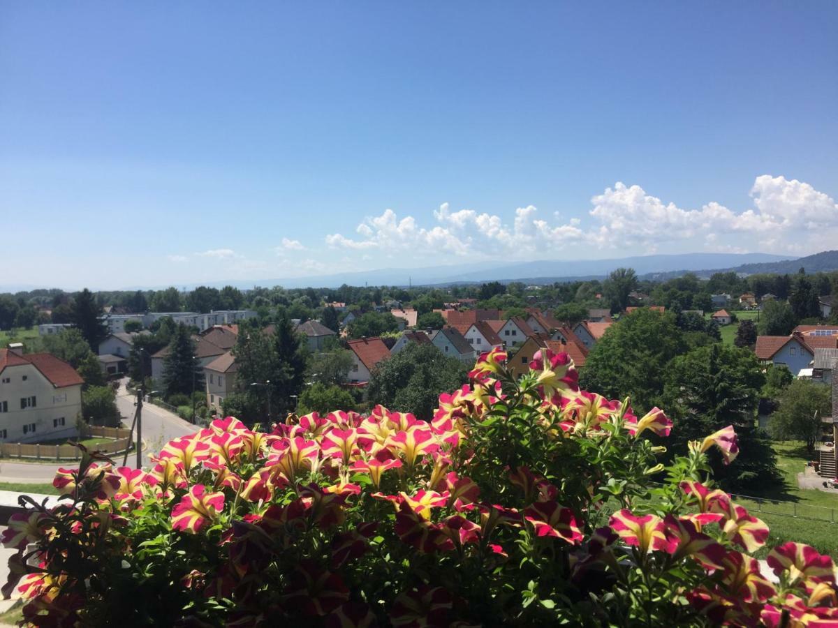 Komfortables Appartement/Garconniere In Graz Fuer Urlaub Und Geschaeftsreisen Exterior foto